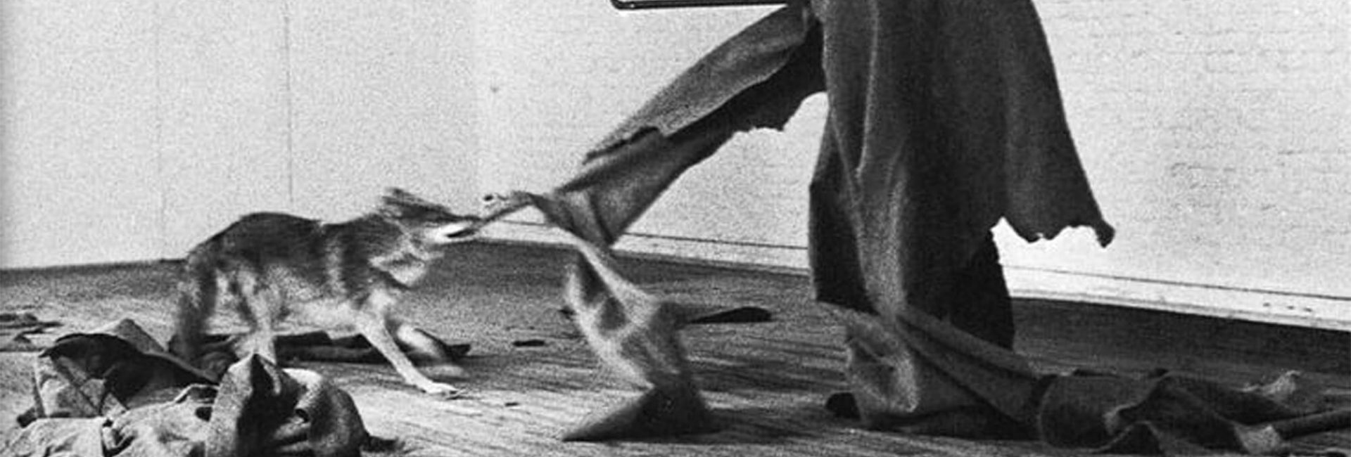 17art4leg-nature-2015-web_0038_joseph-beuys-e2809ci-like-america-and-america-likes-mee2809d-performance-1974-4